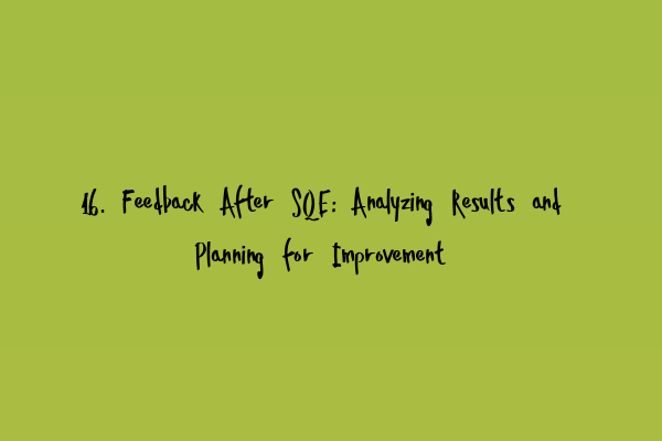 16. Feedback After SQE: Analyzing Results and Planning for Improvement