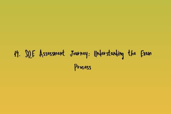 14. SQE Assessment Journey: Understanding the Exam Process